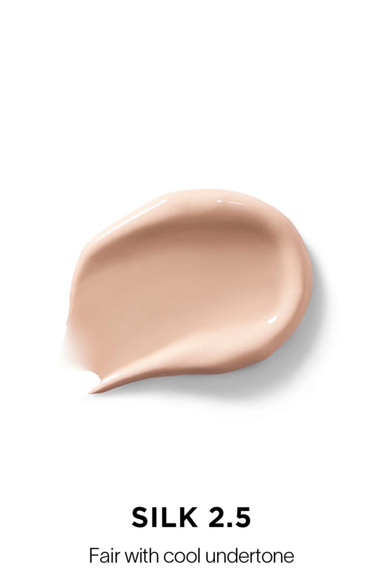 Vanish Airbrush Concealer