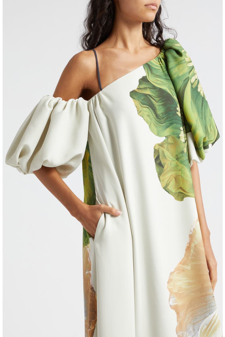 payton floral asymmetric neck maxi dress Payton Floral Asymmetric Neck Maxi Dress (Women)