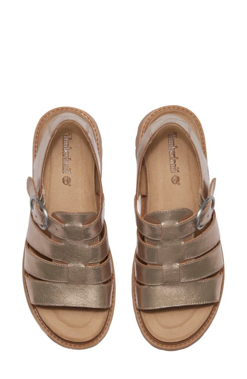 Timberland Clairemont Way Fisherman Sandal In Gold Metallic