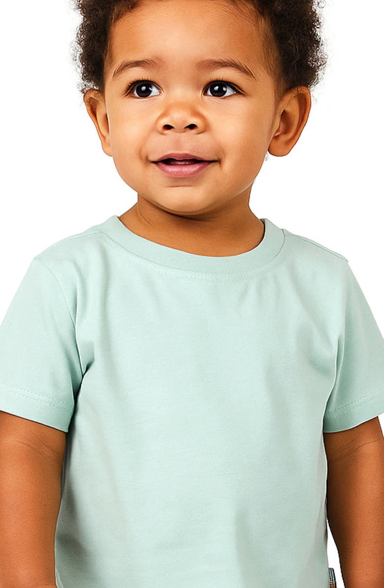 BUTTERBLU Taylor Organic Cotton T-Shirt, Alternate, color, Seafoam Terra Rainbow