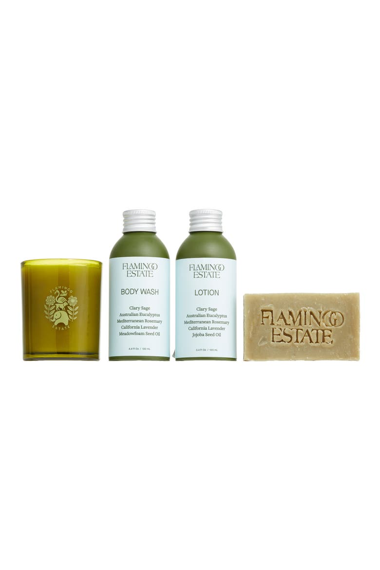 The Mini Garden Discovery Set, Main, color, MULTI