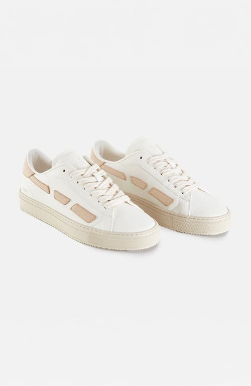 Saye M82 Sneakers In Sand