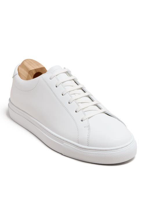 Myrqvist Oaxen Ii Sneakers In White