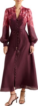 Ever New Camilla Long Sleeve Maxi Dress