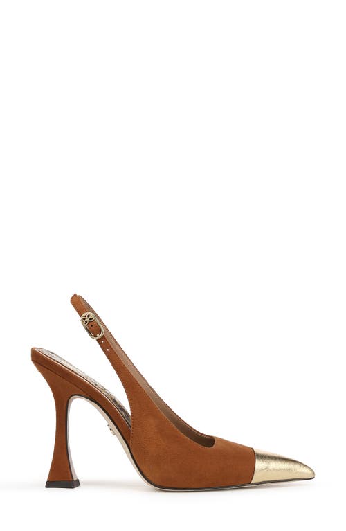 Shop Sam Edelman Odette Slingback Pointed Toe Pump In Frontier Brown/amber Gold