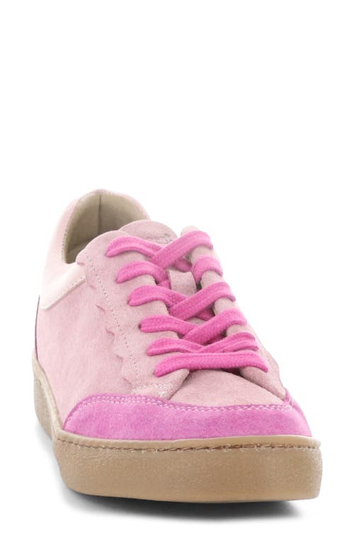 Bos. & Co. Myra Platform Sneaker In Pink