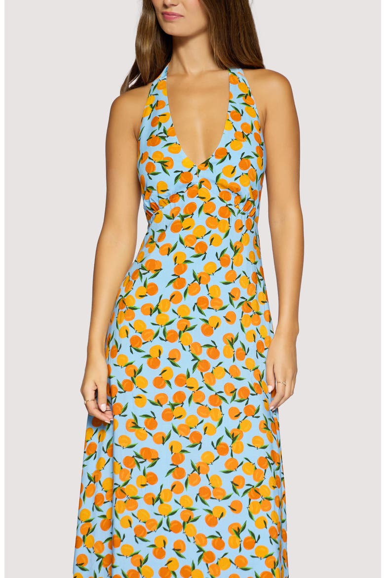 Citrus Soirée Halter Neck Dress, Alternate, color, BLUE ORANGE