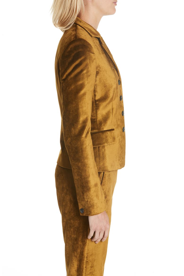 Rei Velvet Blazer, Alternate, color, OLIVE