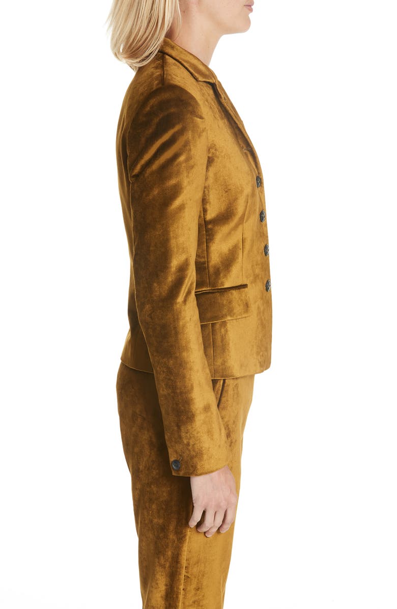 rag & bone Rei Velvet Blazer, Alternate, color,