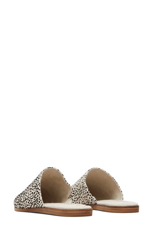 Toms Jade Mule