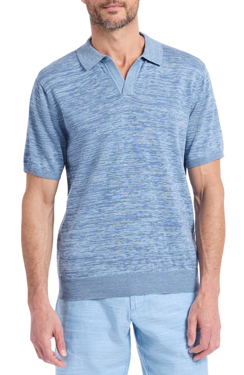 Robert Graham Raydon Johnny Collar Space Dye Sweater Polo, Main, color, Light Blue