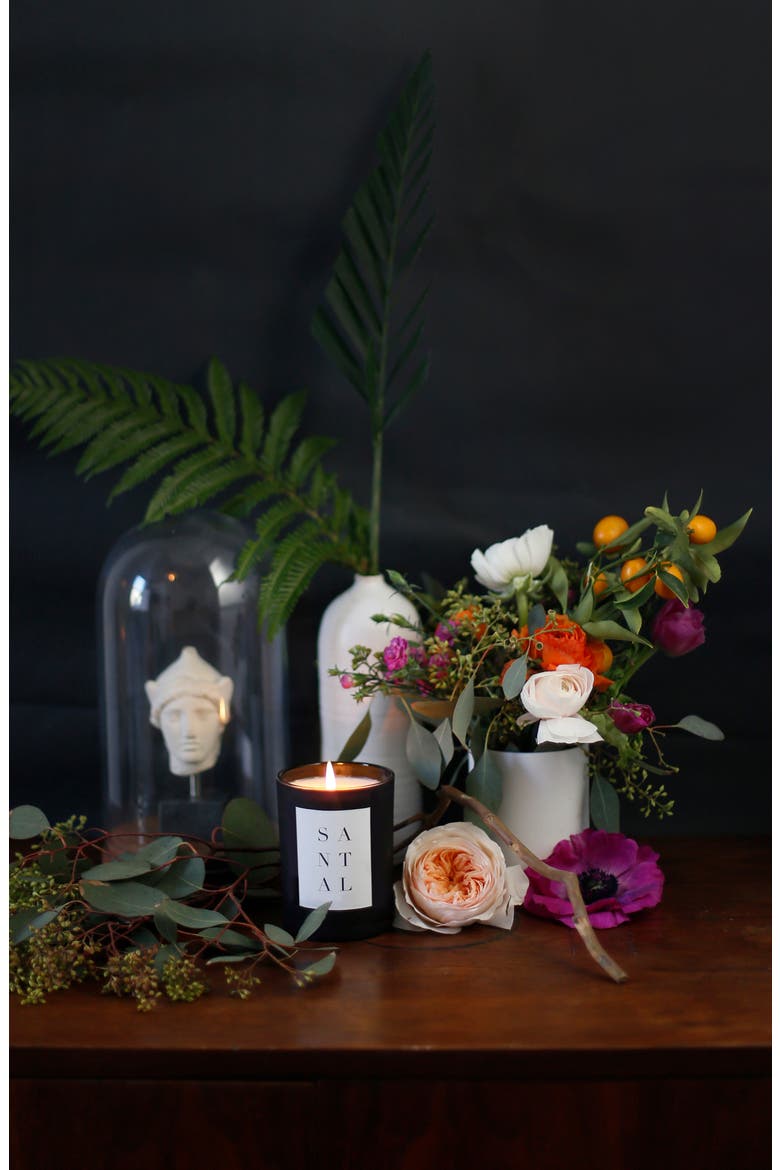 Santal Noir Candle, Alternate, color, SANTAL