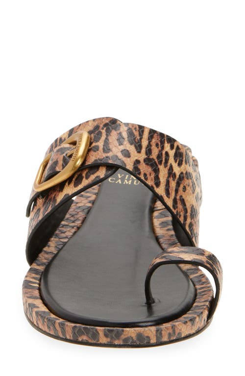 Vince Camuto Ranista Slide Sandal In Animal Print