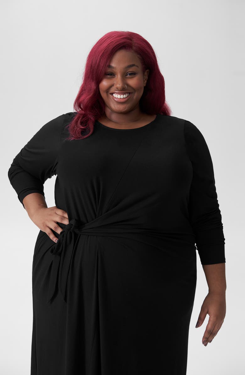 Universal Standard Dina Long Sleeve Side Tie Dress, Alternate, color, 
