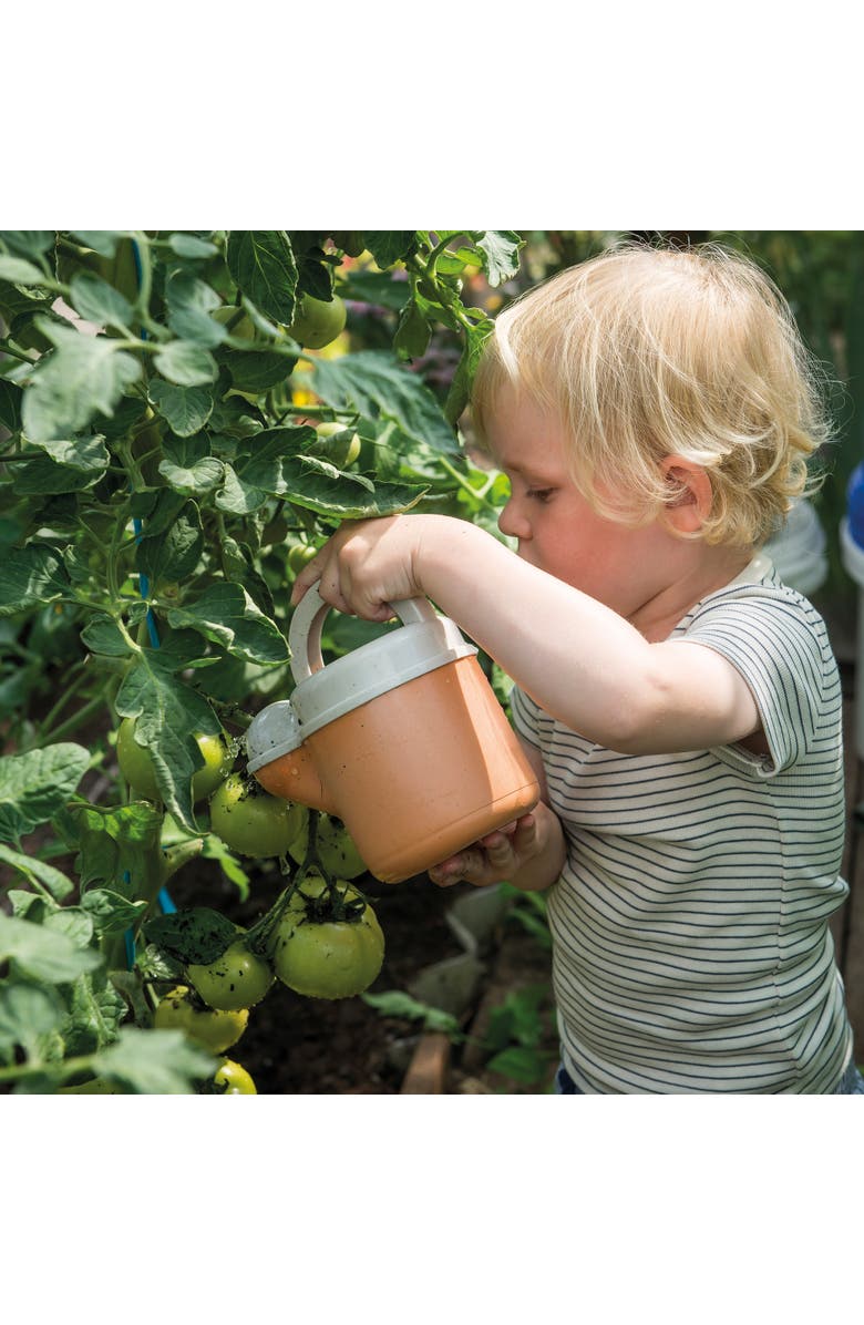 Dantoy Bio Sand and Garden Set 4 Piece Playset, Alternate, color, Multicolored