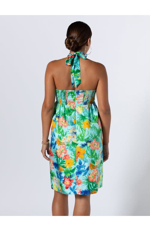 Tori Richard Tropical Loading... Lotte Dress In Aqua