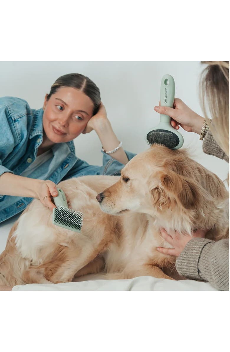 Dexypaws Soft Slicker Pet Brush, Sage Green, Dog & Cat Grooming Tool, Alternate, color, Green