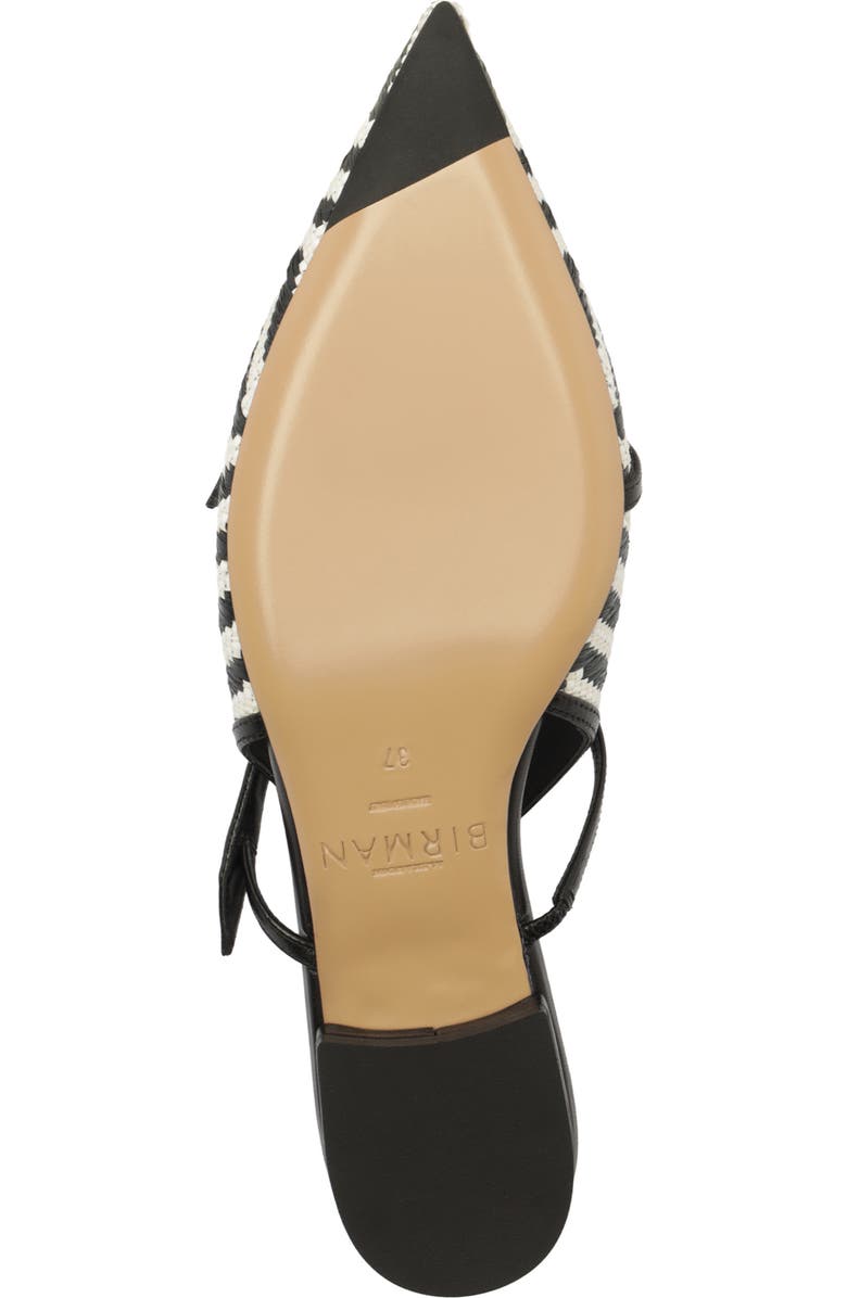 Alexandre Birman Tita Raffia Pointed Toe Slingback Flat, Alternate, color, Black