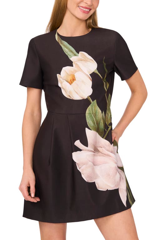 Ted Baker Placed Floral Short Sleeve Minidress In Black