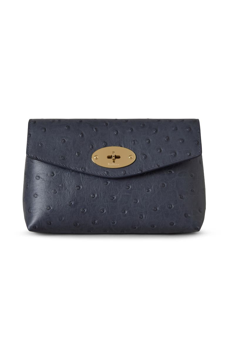 Mulberry Darley Cosmetic Pouch, Main, color, Stormy Blue