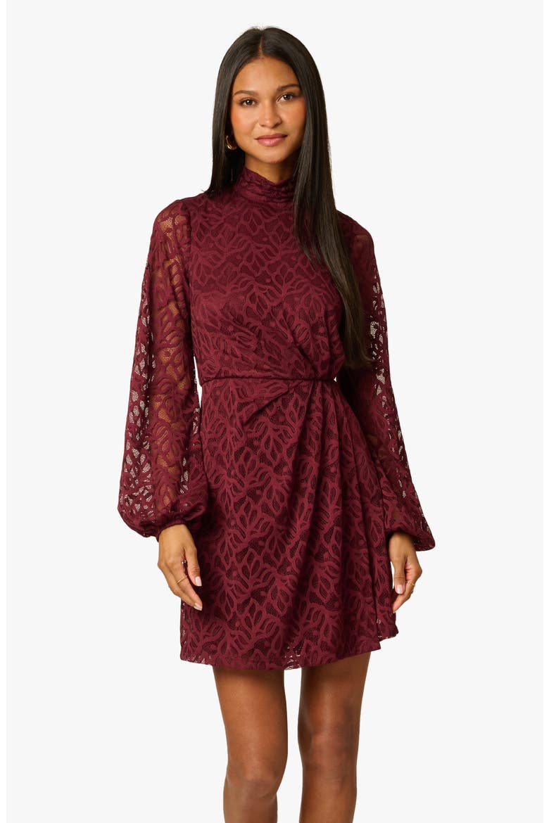 Long Sleeve Lace Minidress, Alternate, color, BURGUNDY