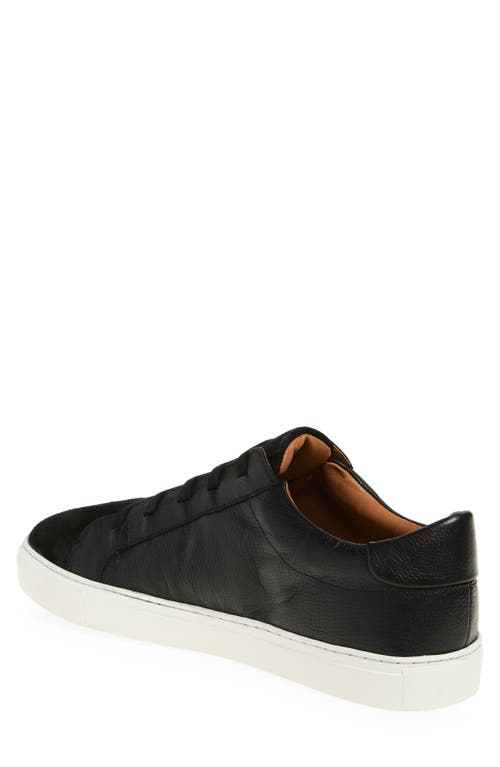 Allen Edmonds Fisher Sneaker
