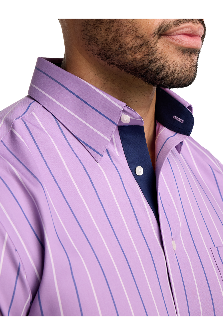 Cotton Point Collar Pinpoint Tailored Contrast Trim Button Cuff Long Sleeve, Alternate, color, Purple