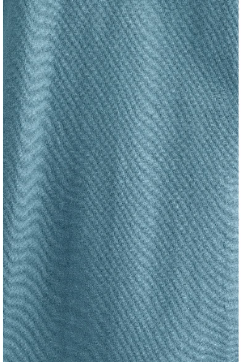 Crest Cotton Graphic T-Shirt, Alternate, color, OCEAN BREEZE/ BLACK/ RUST