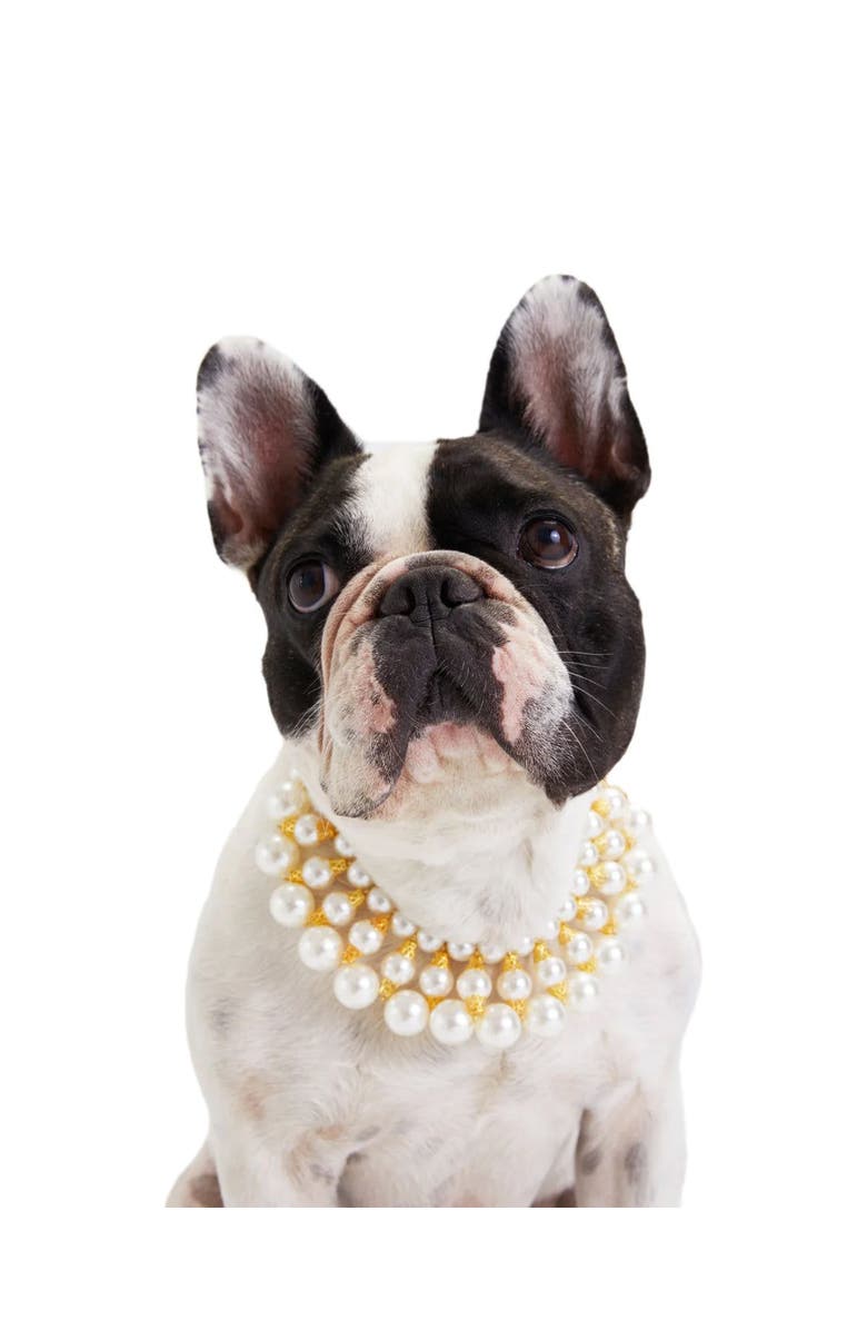 Moshiqa Dubai Dog Necklace, Alternate, color, 