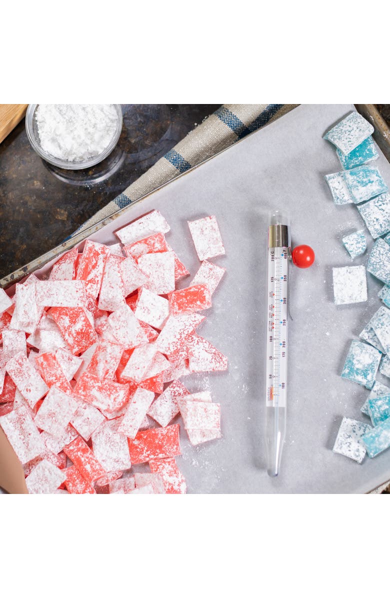 Maverick Candy and Deep Fry Tube Thermometer, Alternate, color, Silver