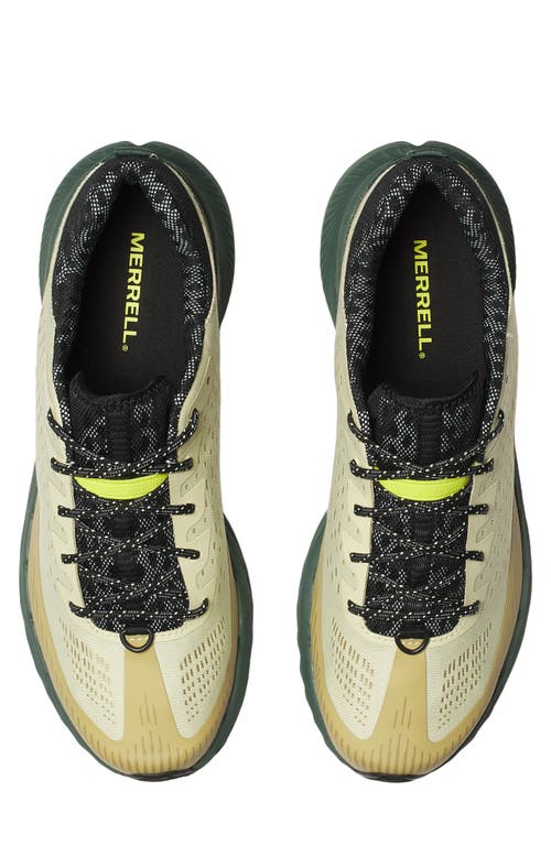Merrell Agility Peak 5 Running Shoe In Beach