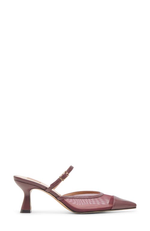Dolce Vita Loyd Pointed Toe Pump In Burgundy