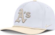 Nike Men's Nike White/Cream Athletics Pro Performance Snapback Hat