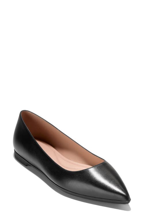 Cole Haan Grand Ambition 2.0 Ballet Flat In Black