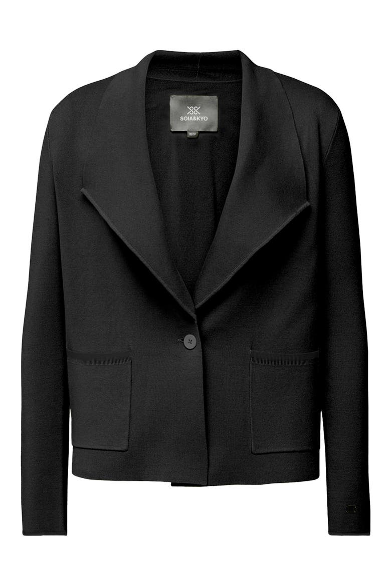 Ioni Shawl Collar Jacket, Alternate, color, BLACK
