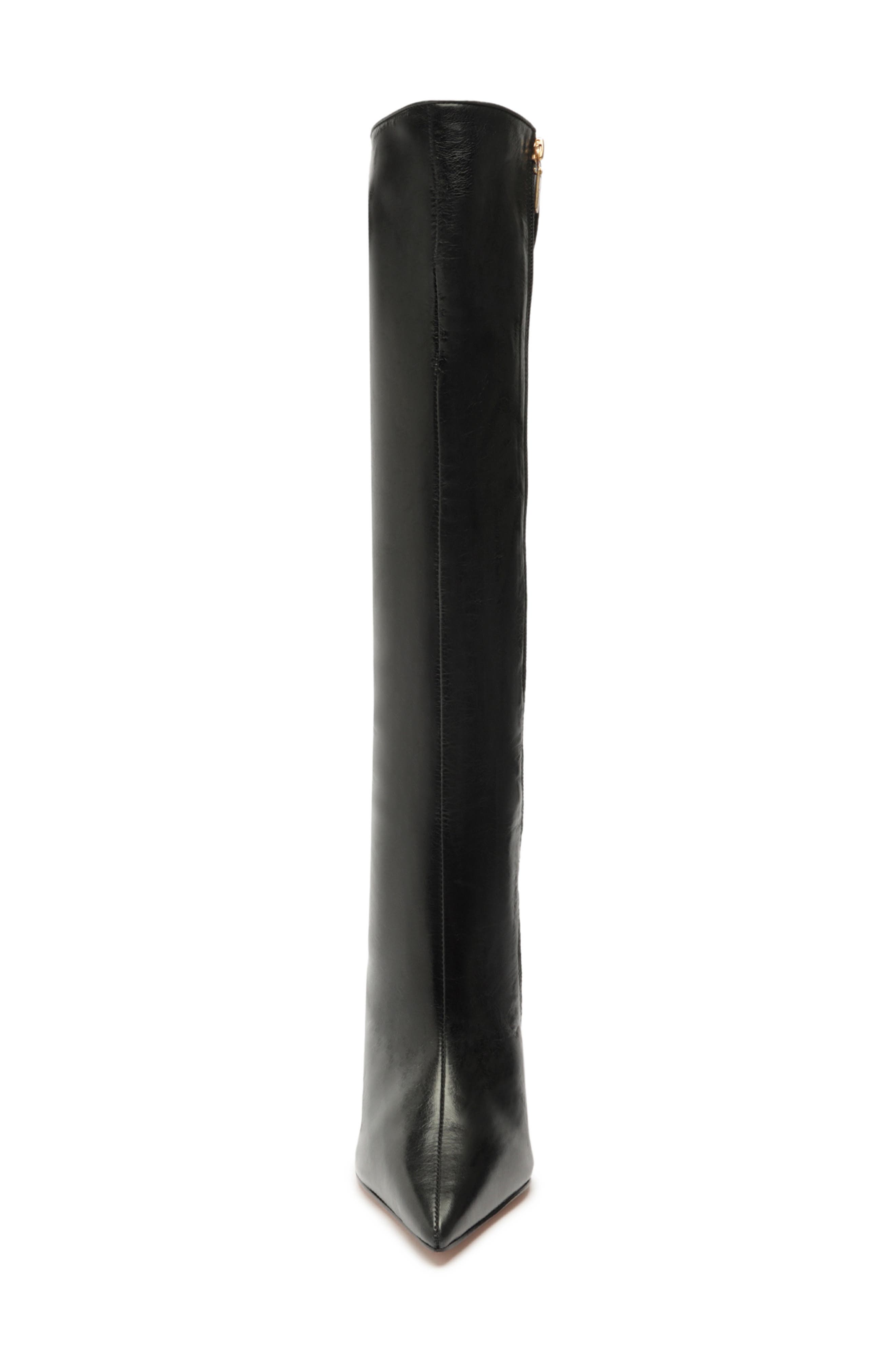 Schutz Filipa Pointed Toe Tall Boot, Alternate, color, 
