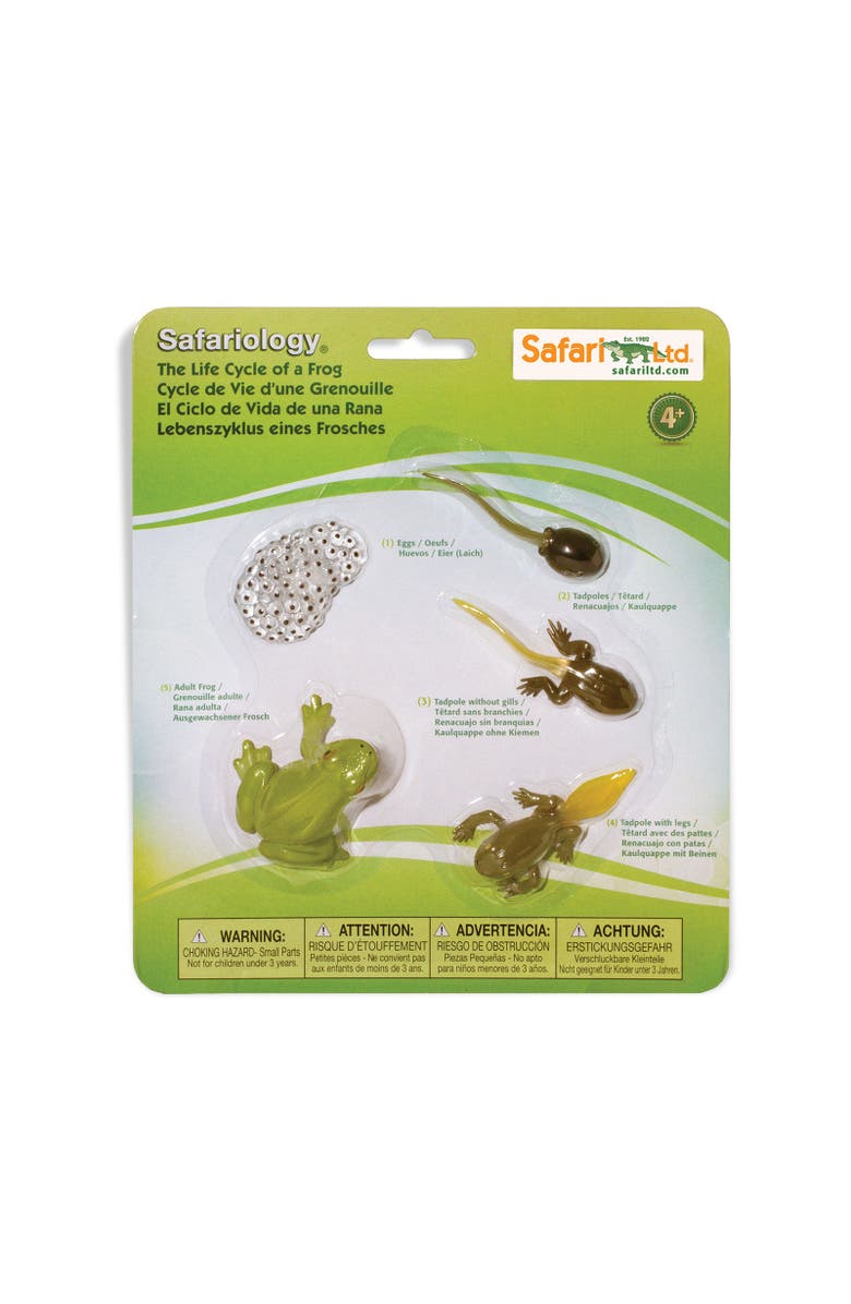 Safari Ltd. Life Cycle Of A Frog, Main, color, NO COLOR