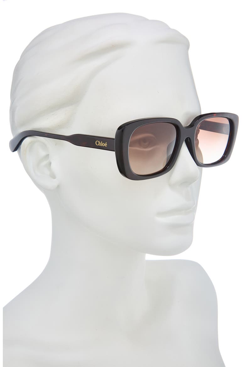 55mm Square Sunglasses, Alternate, color, HAVANA HAVANA BROWN