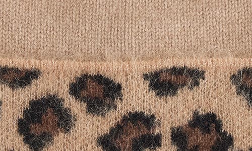 Bruno Magli Cashmere Leopard Pompom Beanie In Multi