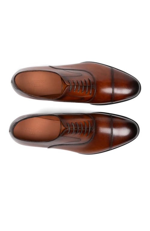 Anthony Veer Regent Cap-toe Oxford In Rustic Ember Cognac