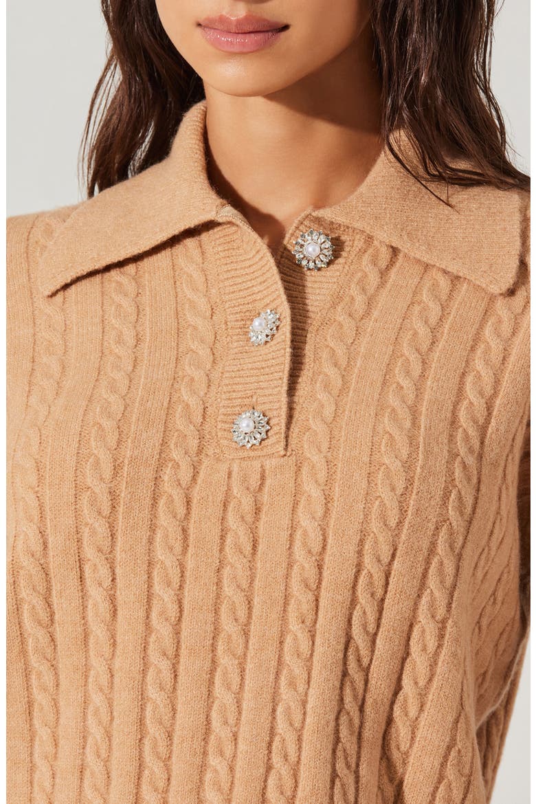 Jewel Button Cable Polo Sweater, Alternate, color, BISCOFF