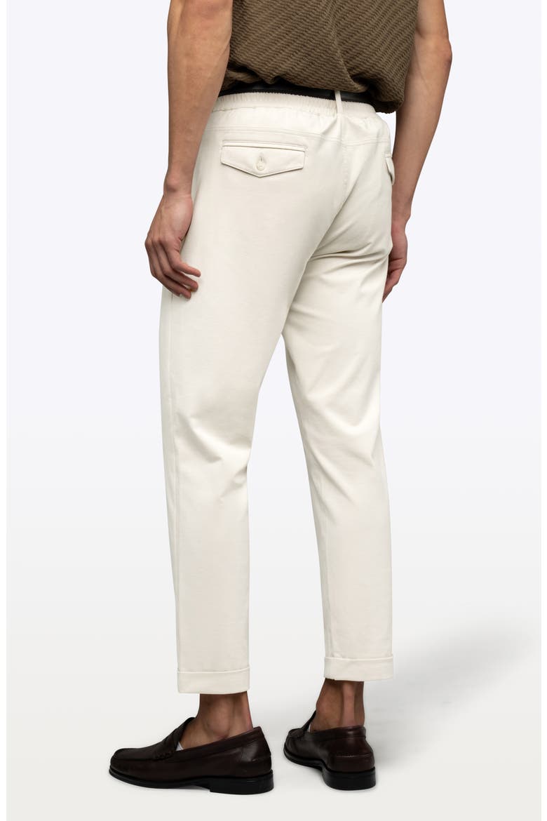 Soho Pleated Stretch Trousers, Alternate, color, OAT