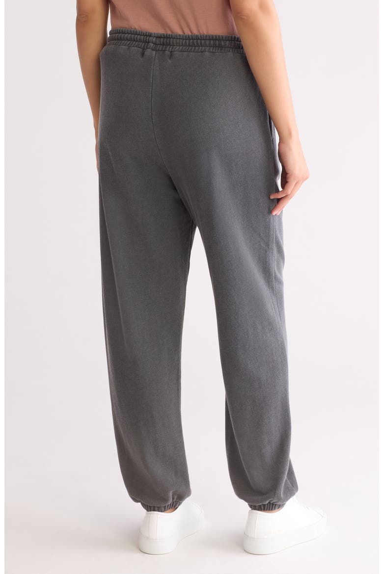 Haze Skinny Beach Terry Joggers, Alternate, color, BLACK SAND