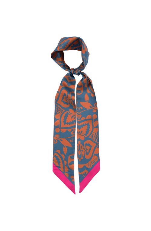 Echo Park Paisley Ribbon Scarf In Multi