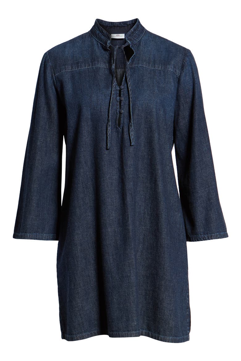 Fable Denim Shift Dress, Alternate, color, FINNIAN