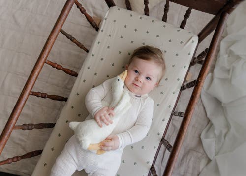 Ely's & Co. Organic Cotton Embroidered Collar Collection In Metallic