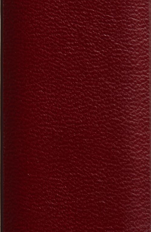 Nordstrom Rack Faux Pearl Buckle Belt In Brown