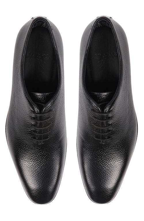 Vellapais Newark Oxford In Black