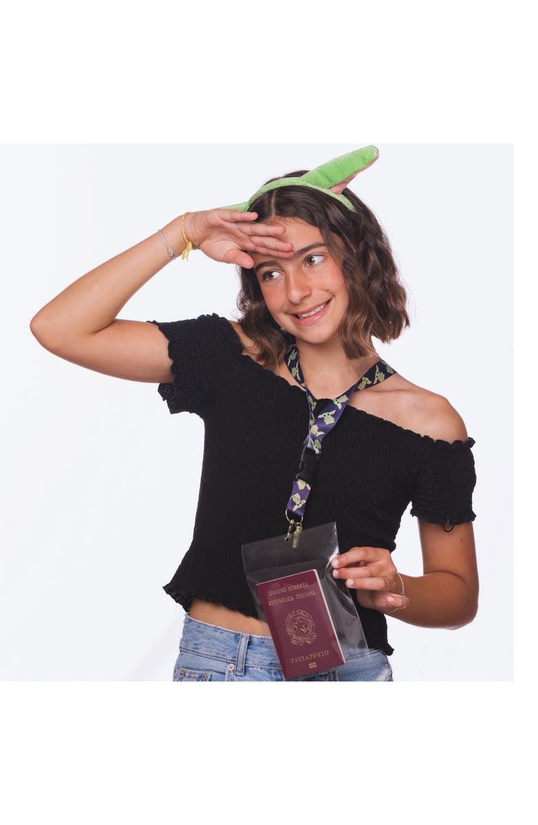 Star Wars The Mandalorian Lanyard and Retractable Badge Reel Set with Key Holder, Alternate, color, 