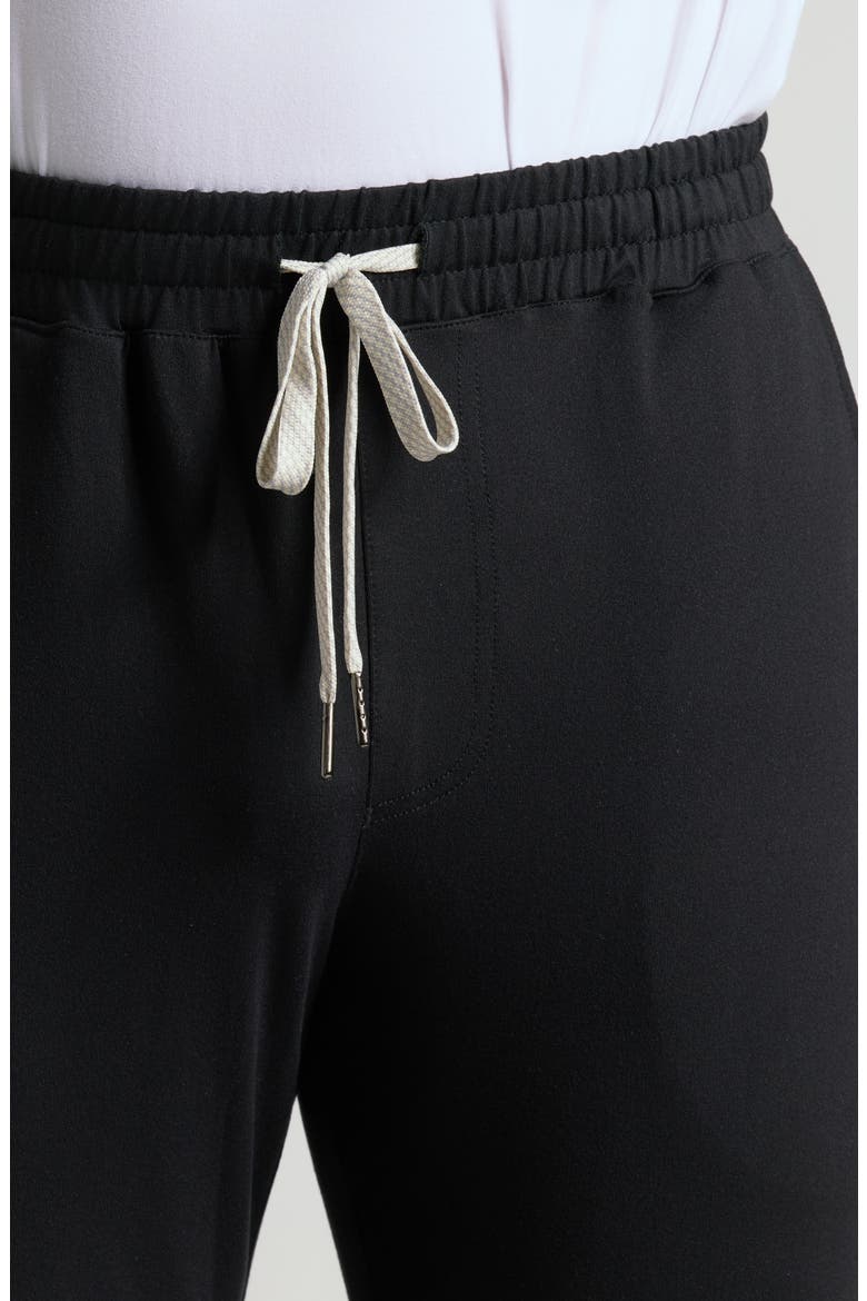 Active Performance Joggers, Alternate, color, BLACK